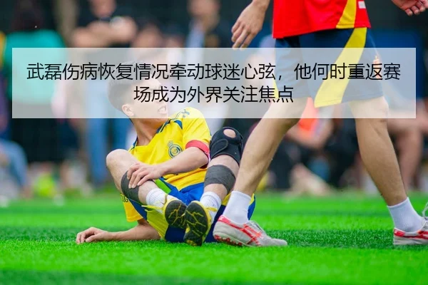 武磊伤病恢复情况牵动球迷心弦，他何时重返赛场成为外界关注焦点